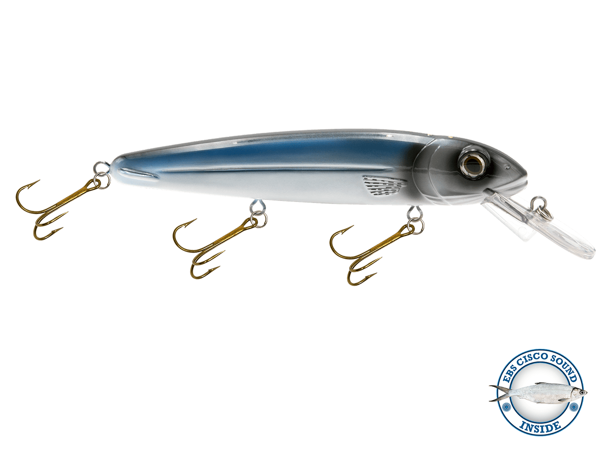 Livingston Lures Crankbaits Cisco / Cisco Sound Rachel (Suspending) 8"