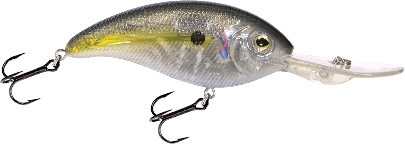 Livingston Lures Crankbaits Clearwater Shad Deep Impact 18