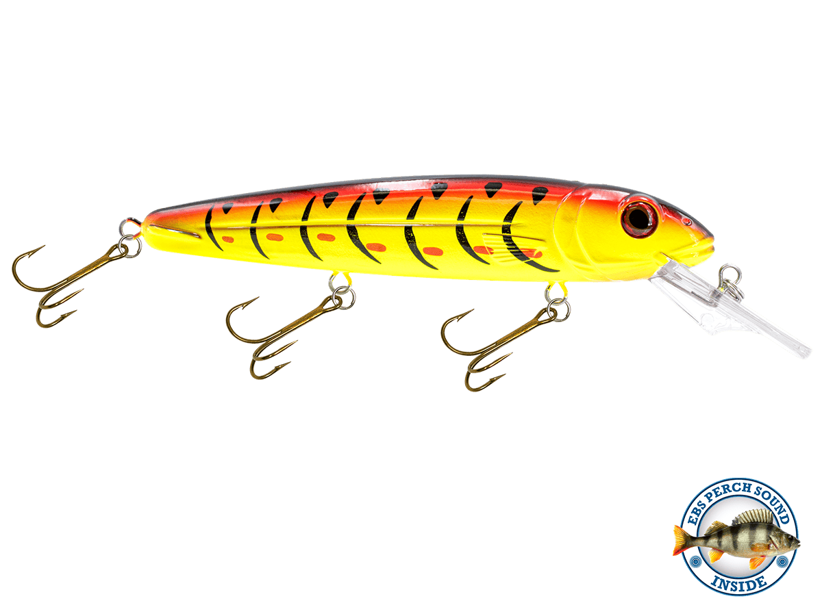 Livingston Lures Crankbaits Fire & Ice / Perch Sound Rachel (Suspending) 8"