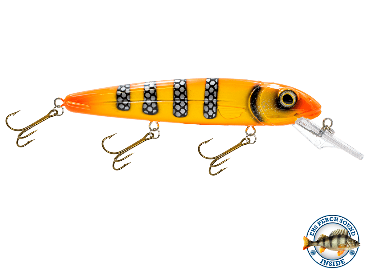 Livingston Lures Crankbaits Fire Perch / Perch Sound Rachel (Suspending) 8"