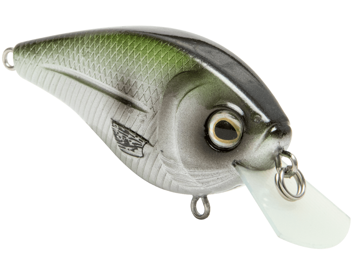 Livingston Lures Crankbaits FlatMaster SQ