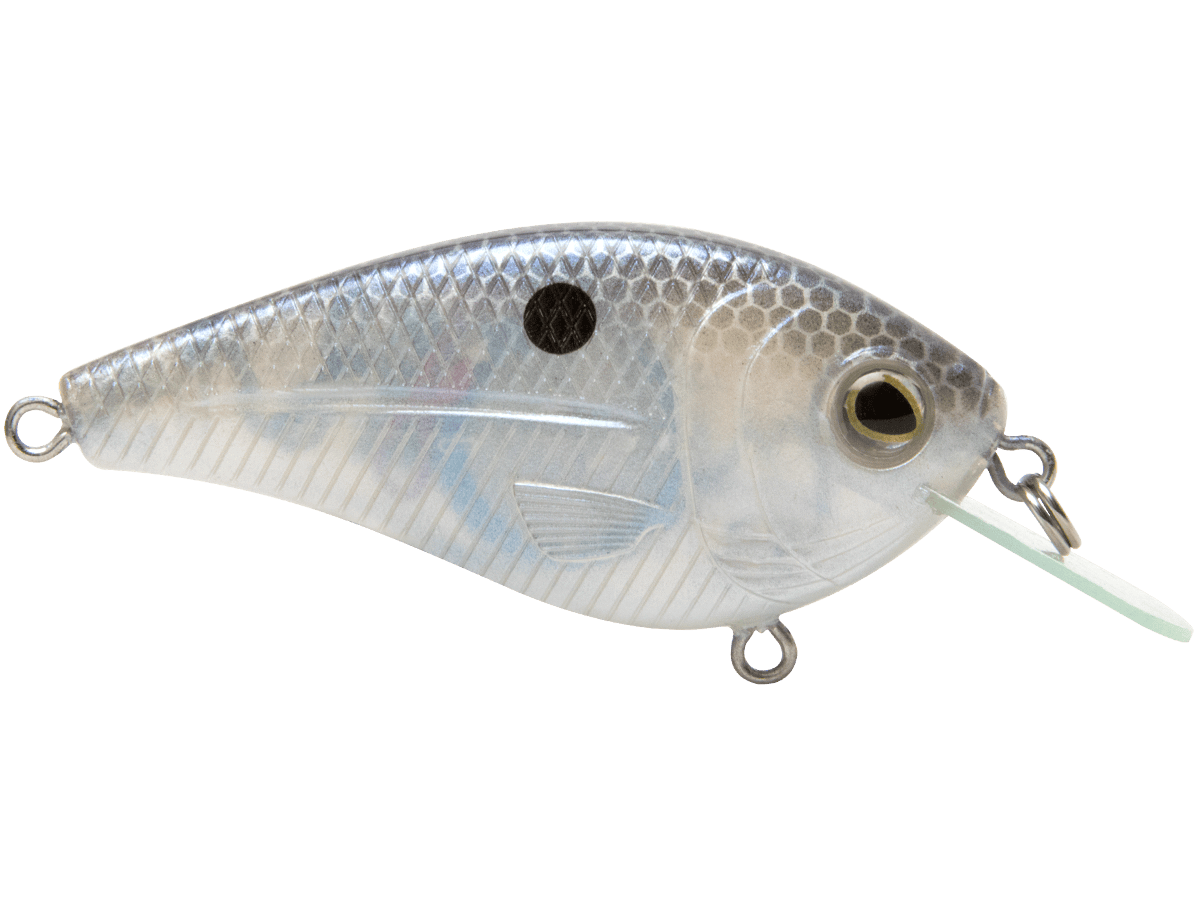 Livingston Lures Crankbaits FlatMaster SQ