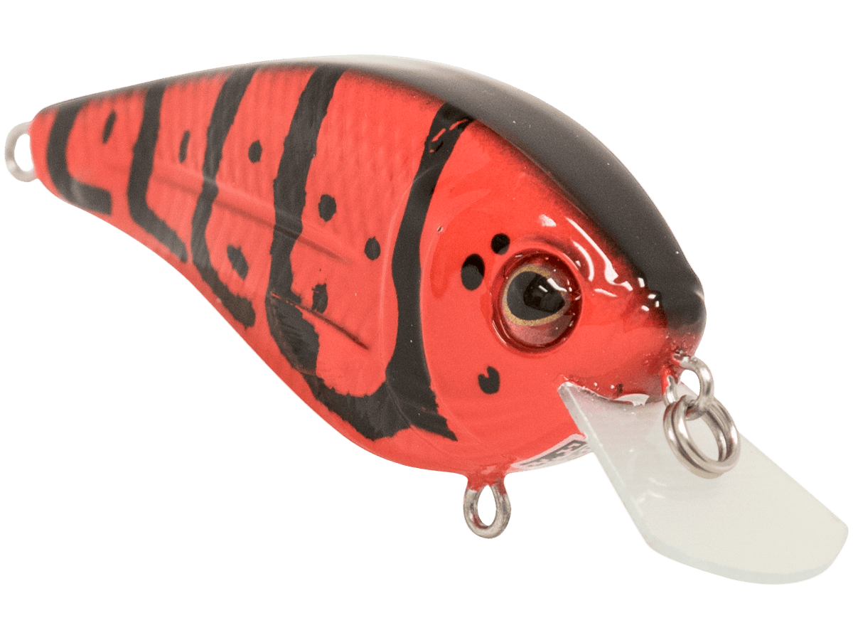 Livingston Lures Crankbaits FlatMaster SQ