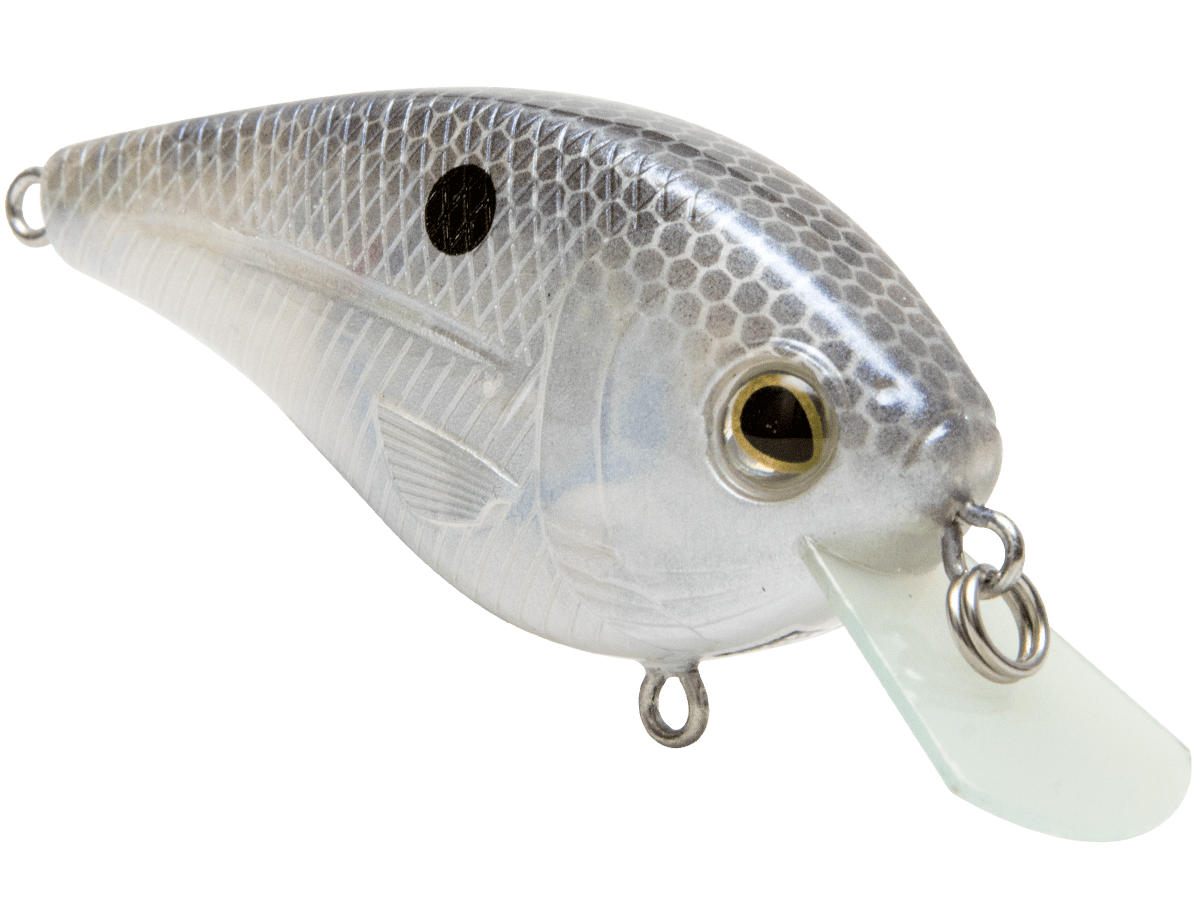 Livingston Lures Crankbaits FlatMaster SQ