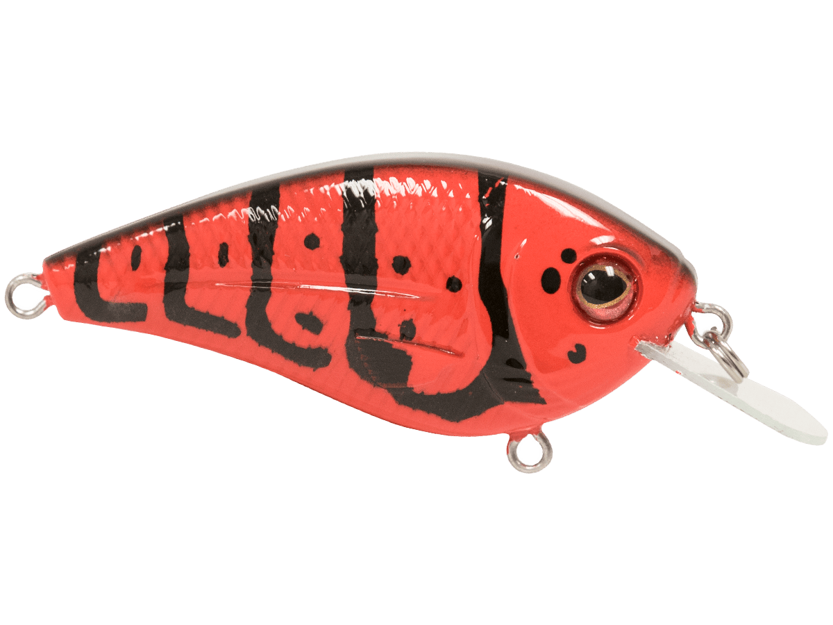 Livingston Lures Crankbaits FlatMaster SQ