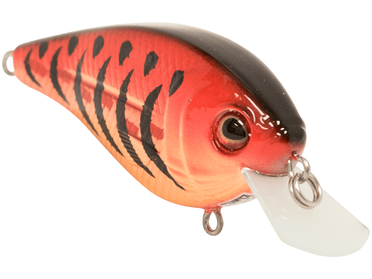 Livingston Lures Crankbaits FlatMaster SQ