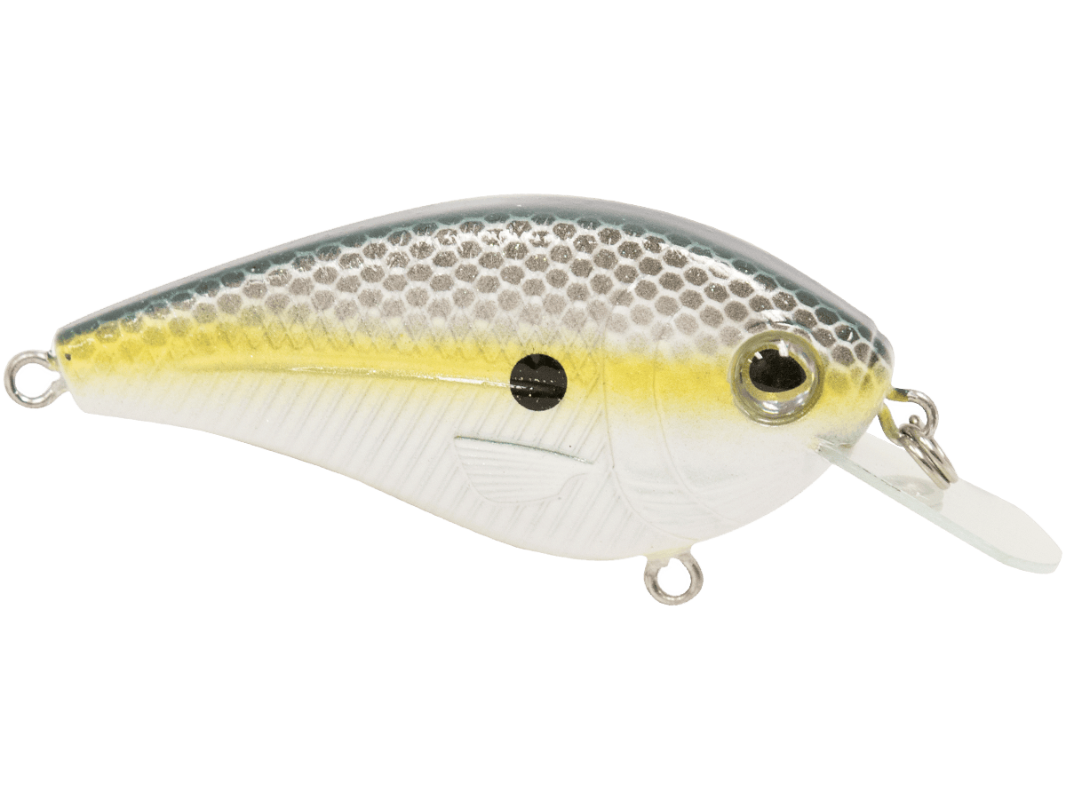 Livingston Lures Crankbaits FlatMaster SQ