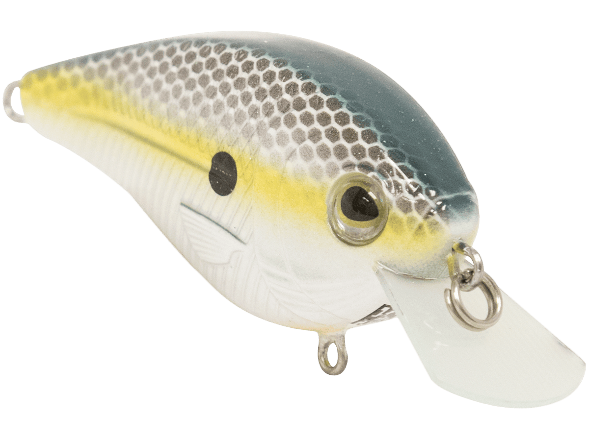Livingston Lures Crankbaits FlatMaster SQ