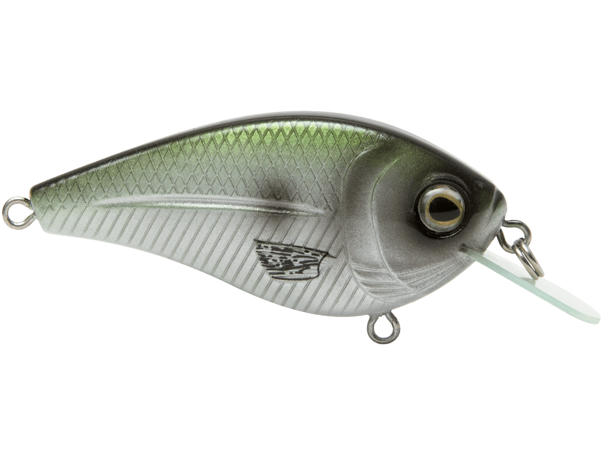 Livingston Lures Crankbaits FlatMaster SQ
