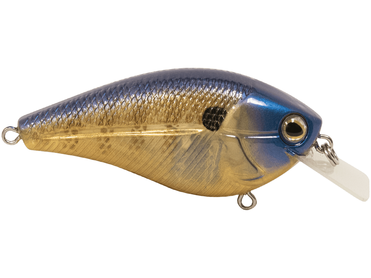 Livingston Lures Crankbaits Ghost Blue Gill Primetyme SQ 2.0