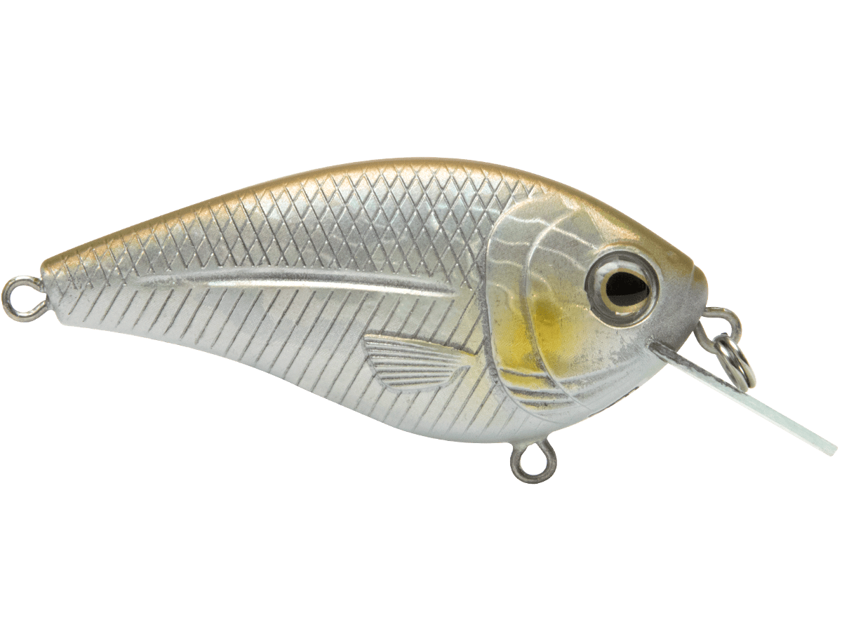 Livingston Lures Crankbaits Ginrin FlatMaster SQ