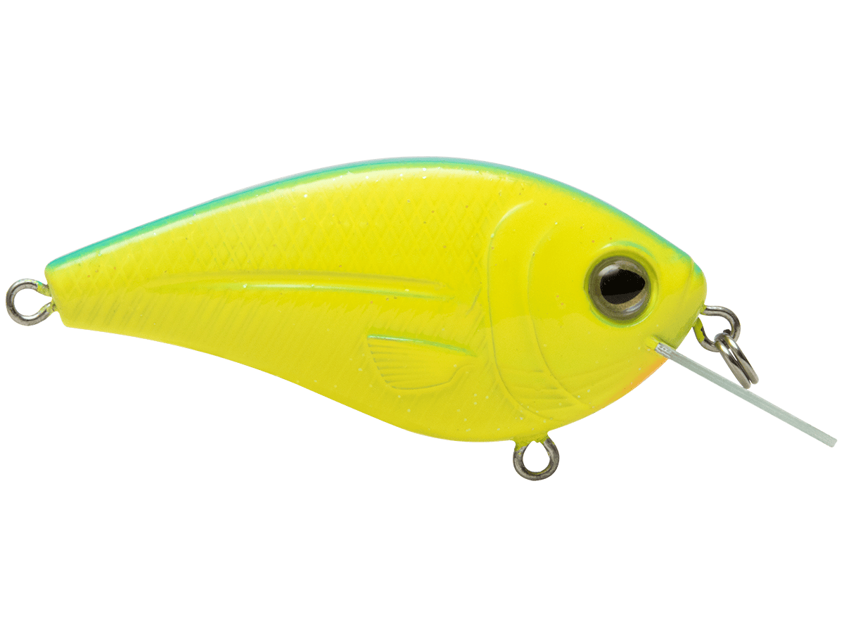 Livingston Lures Crankbaits Melon Shad FlatMaster SQ