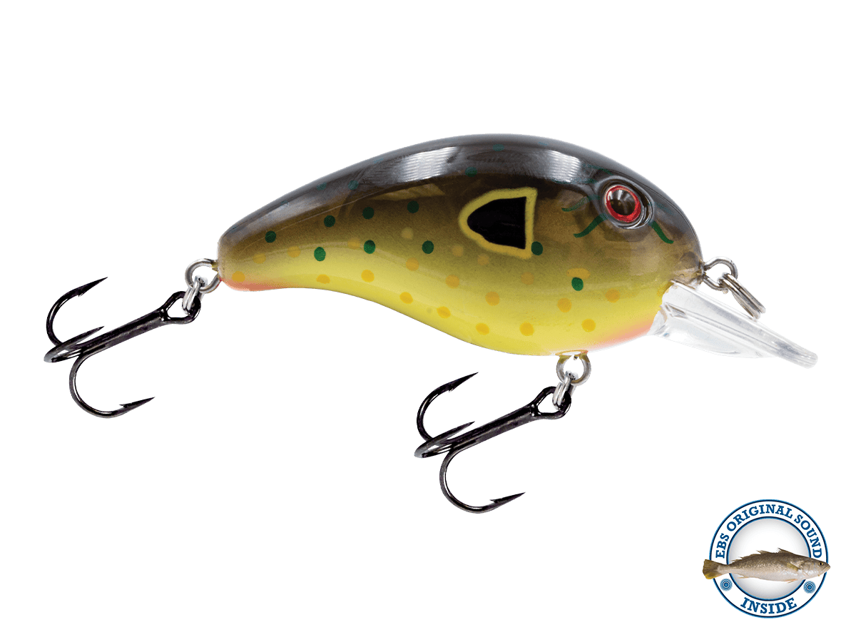Livingston Lures Crankbaits Money Gill Dive Master Jr