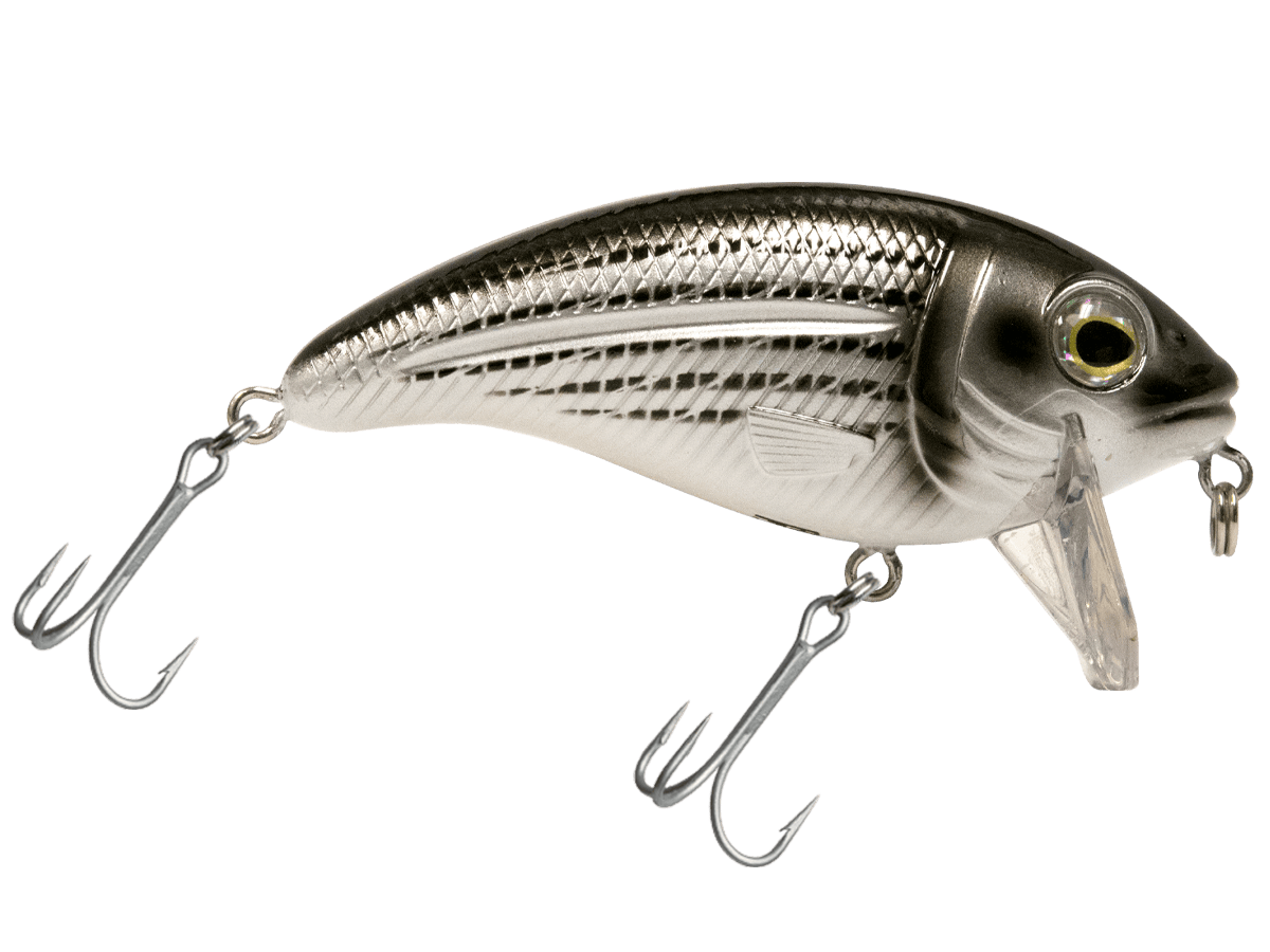 Livingston Lures Crankbaits Mullet Bull Nose