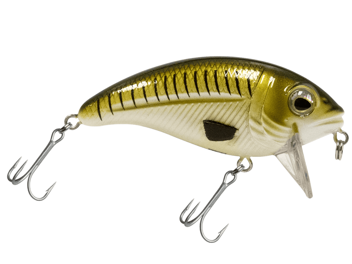 Livingston Lures Crankbaits Natural Croaker Bull Nose