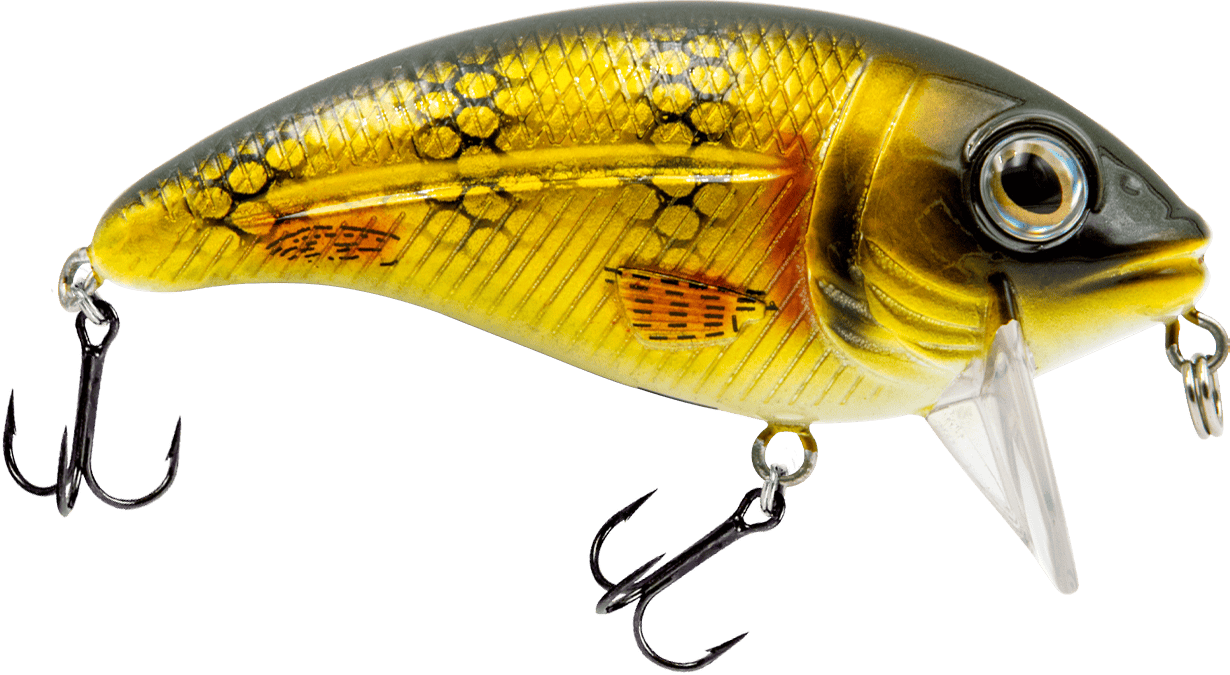 Livingston Lures Crankbaits Natural Perch Bull Nose
