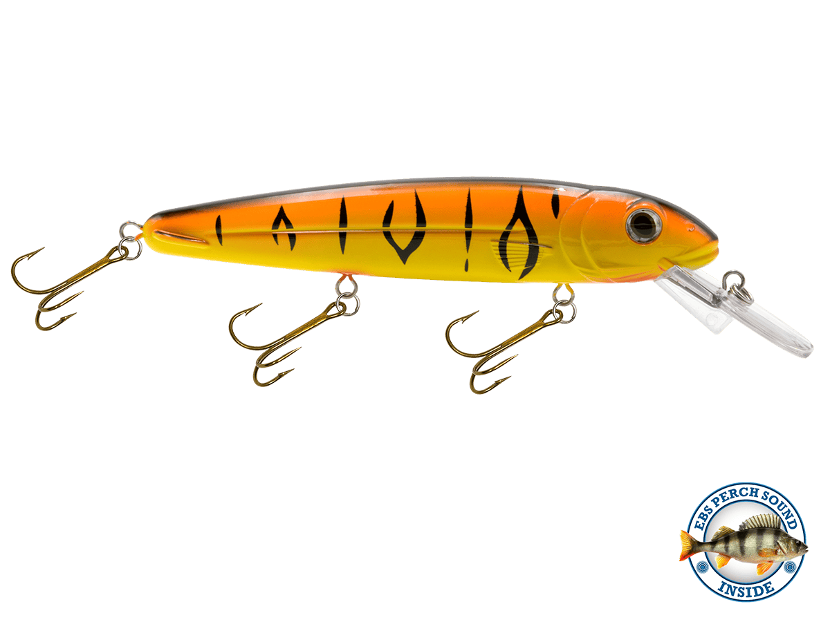 Livingston Lures Crankbaits Orange Tiger / Perch Sound Rachel (Suspending) 8"
