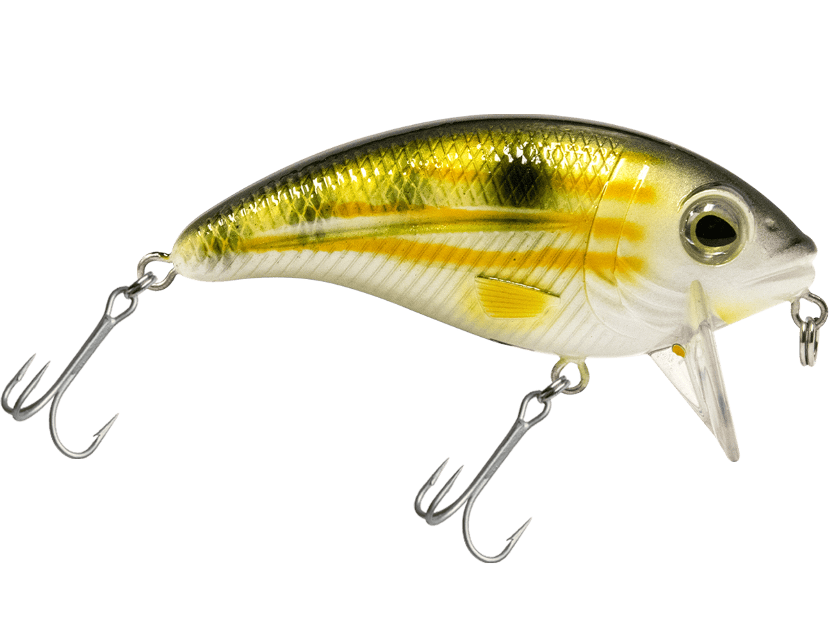 Livingston Lures Crankbaits Pinfish Bull Nose