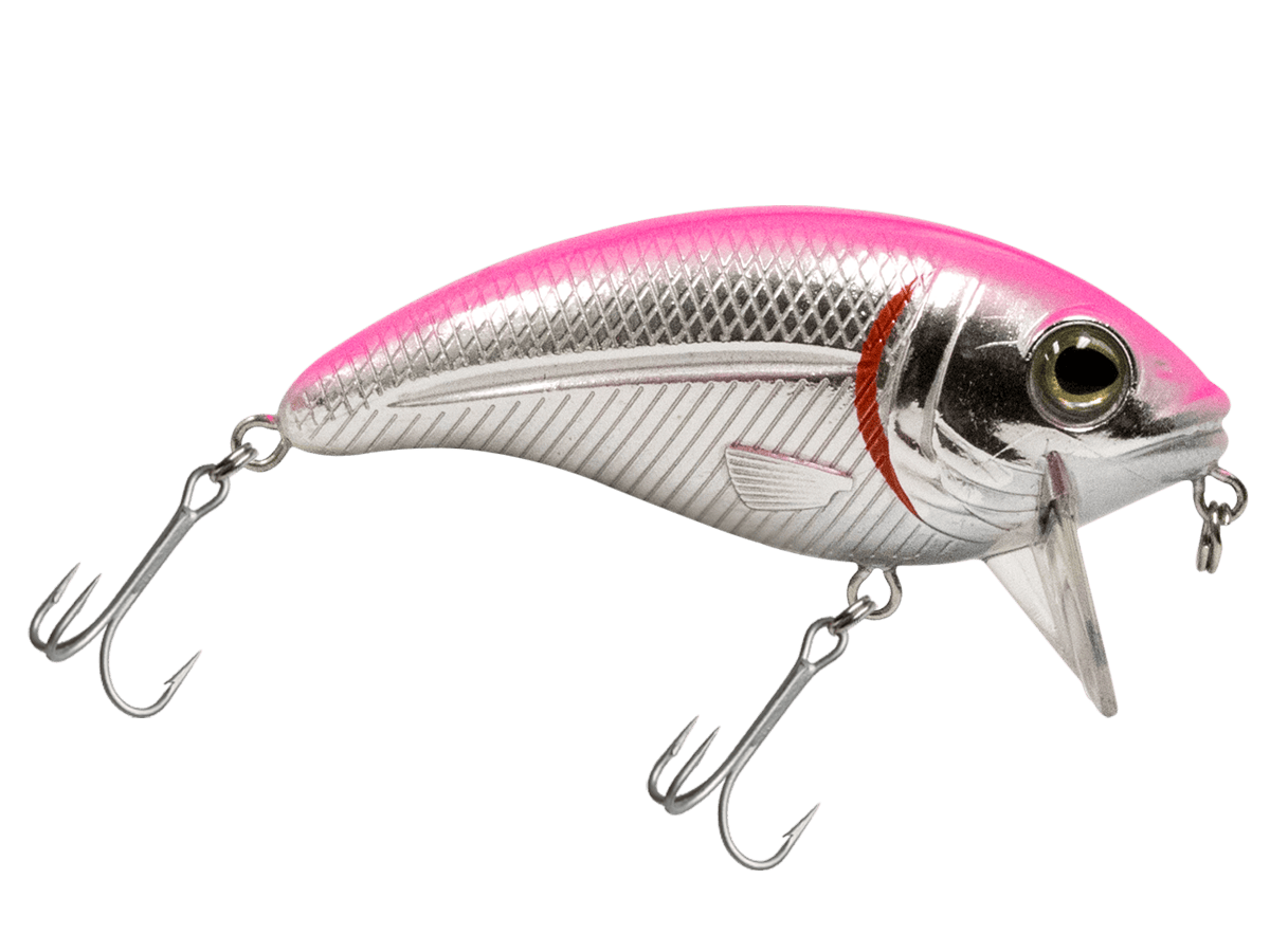 Livingston Lures Crankbaits Pink back/ Chrome belly Bull Nose