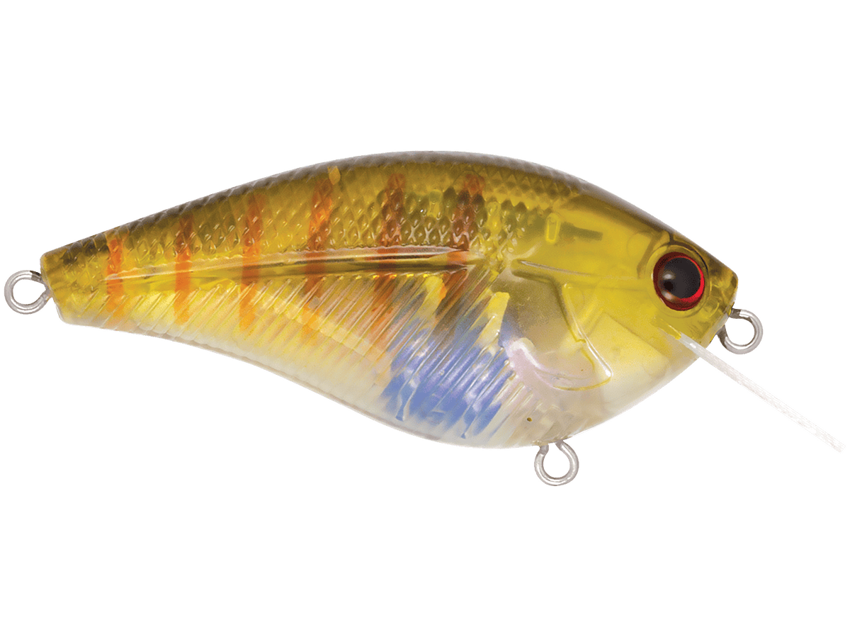 Livingston Lures Crankbaits Primetyme SQ 2.0