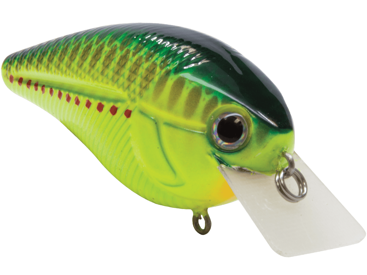 Livingston Lures Crankbaits Primetyme SQ 2.0