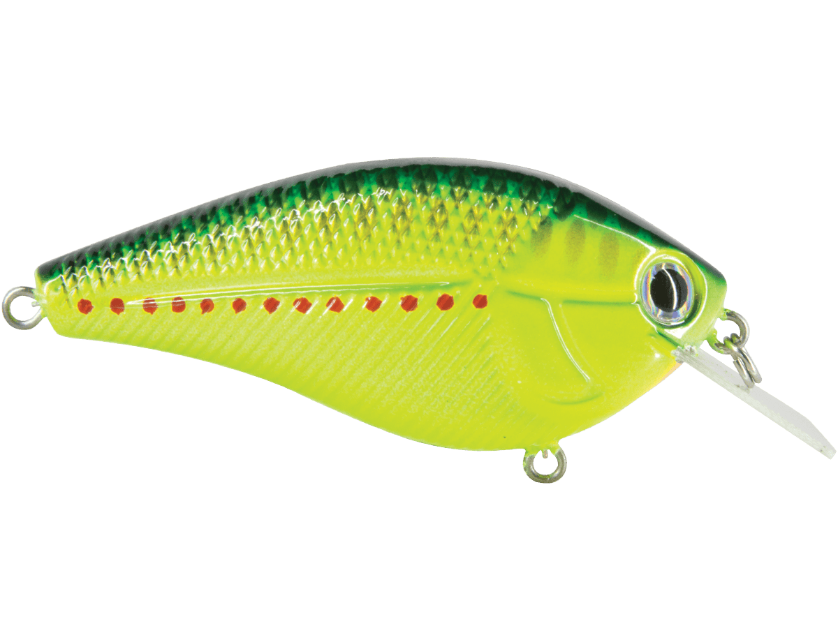 Livingston Lures Crankbaits Primetyme SQ 2.0