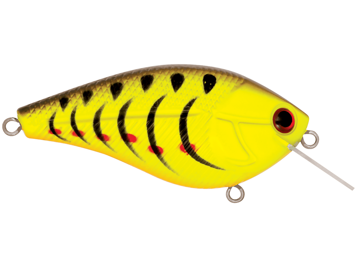 Livingston Lures Crankbaits Primetyme SQ 2.0