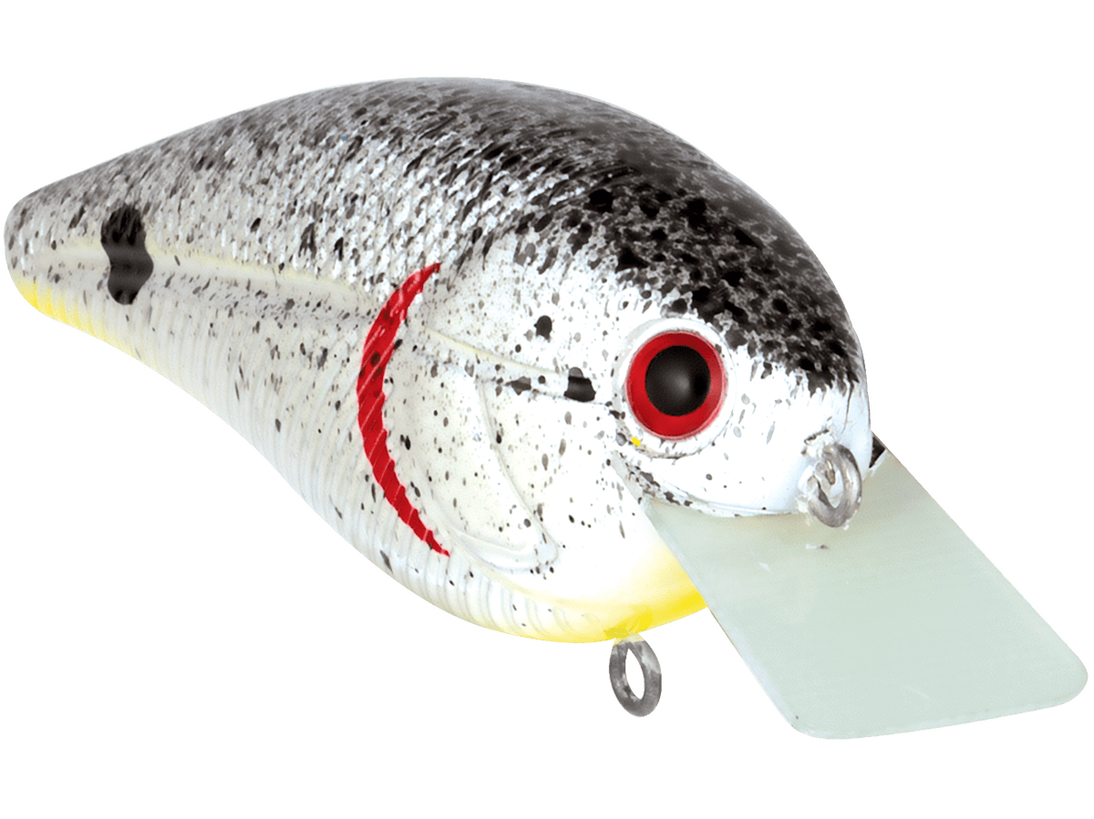 Livingston Lures Crankbaits Primetyme SQ 2.0