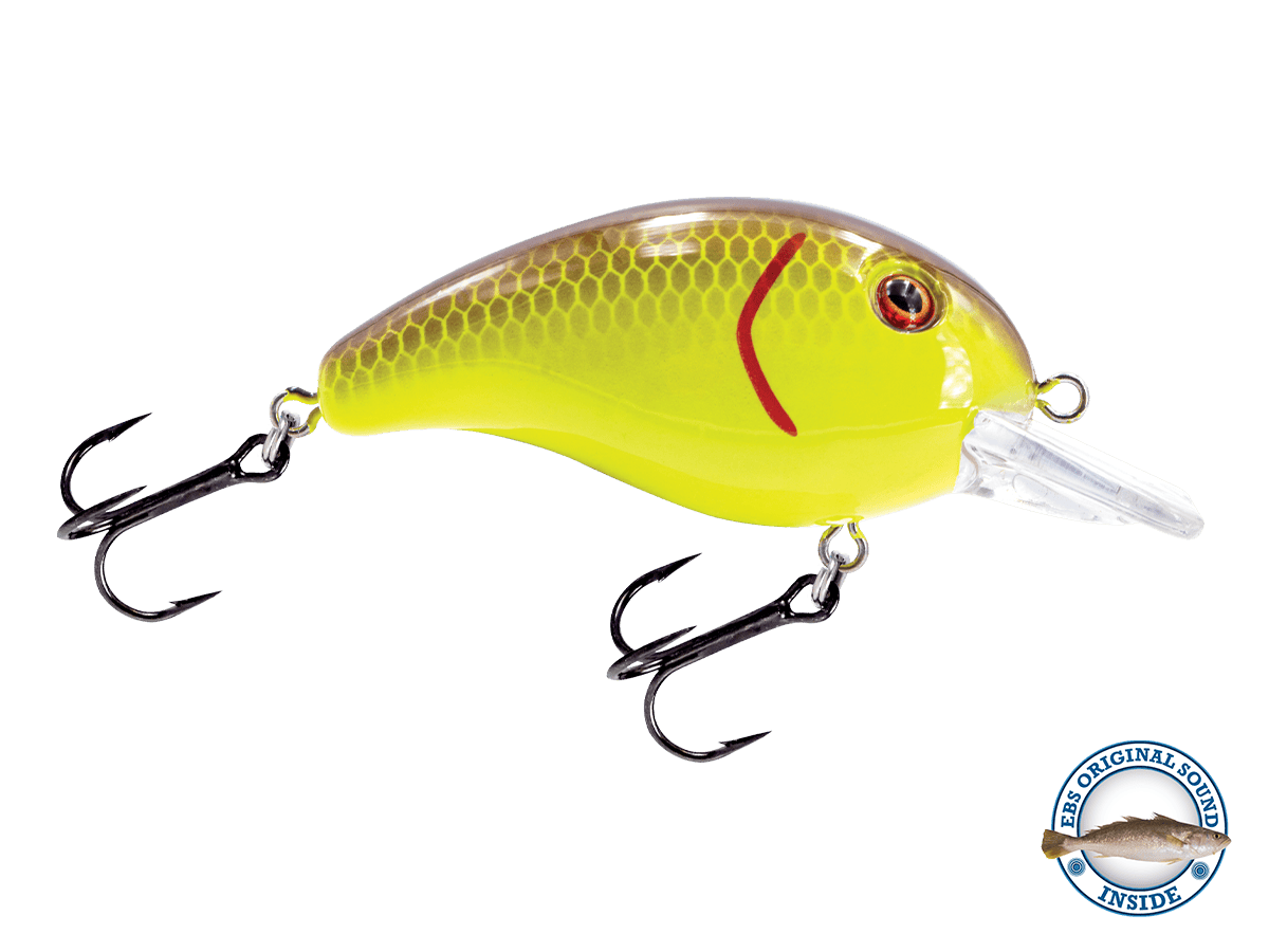 Livingston Lures Crankbaits Purple C Shad Dive Master Jr