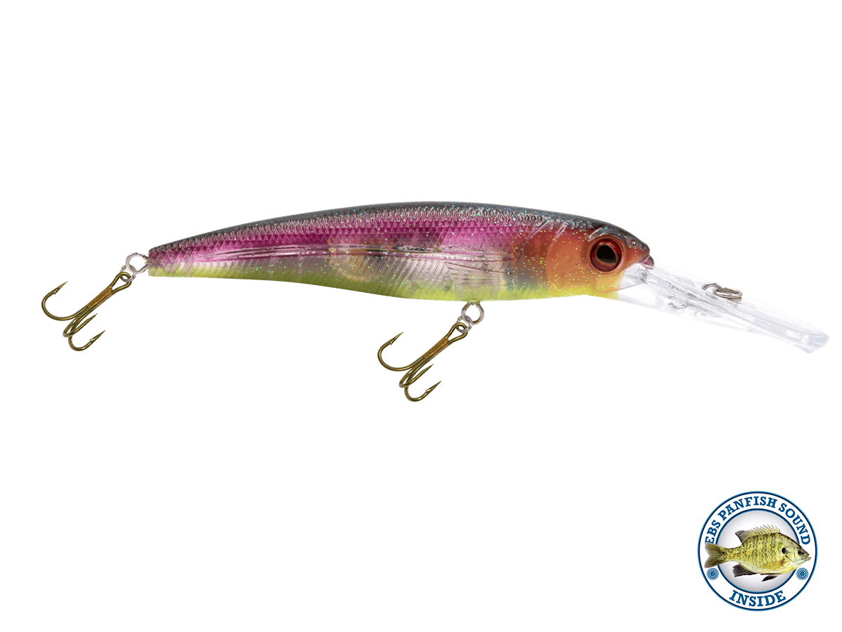 Livingston Lures Crankbaits Purple Rain / Panfish Sound Voyager 15 Walleye