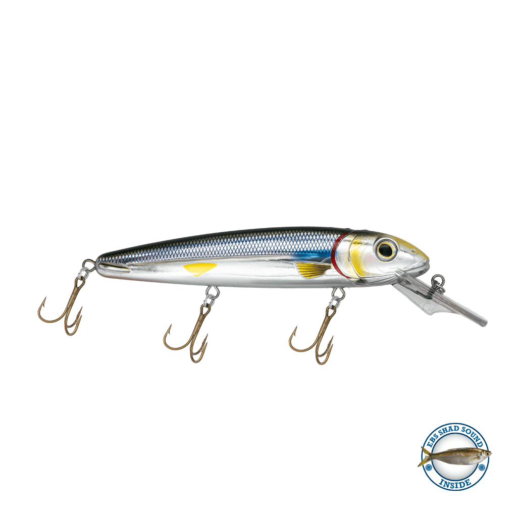 Livingston Lures Crankbaits Rainbow Smelt / Shad Sound Rachel (Suspending) 8"