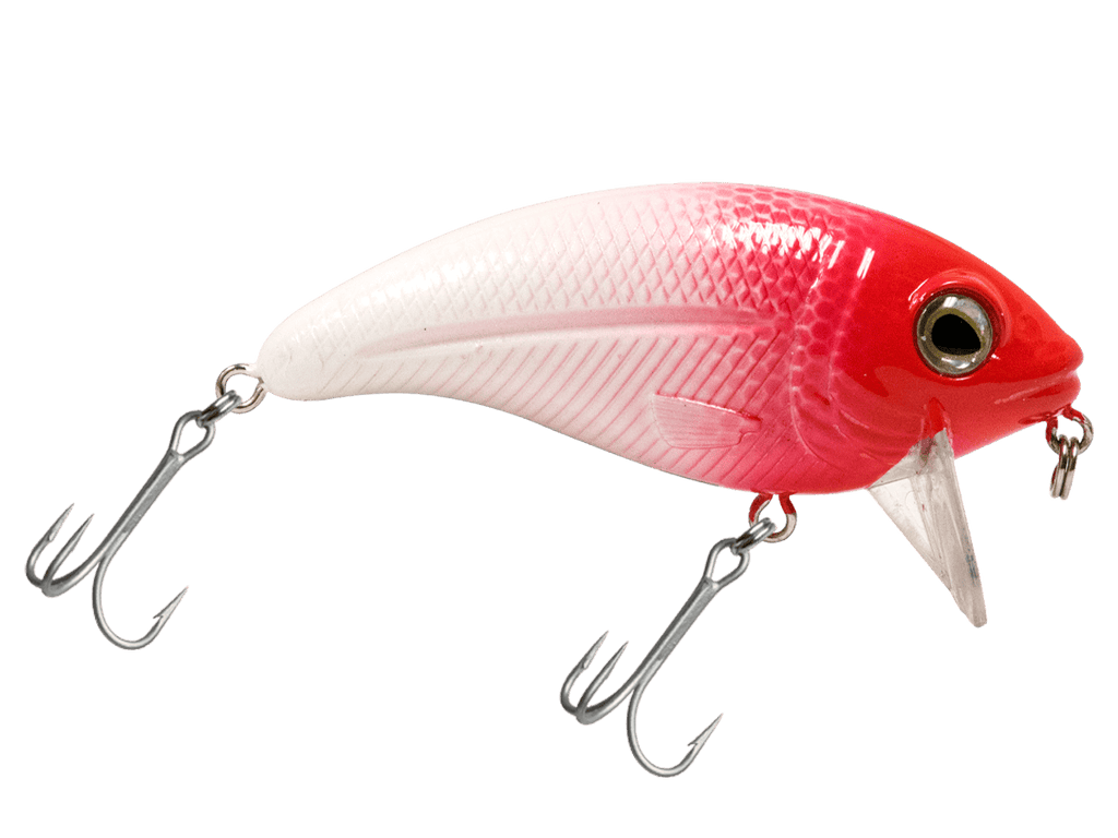 bullnose fishing lure Bull Nose Blue Back Chrome Shad