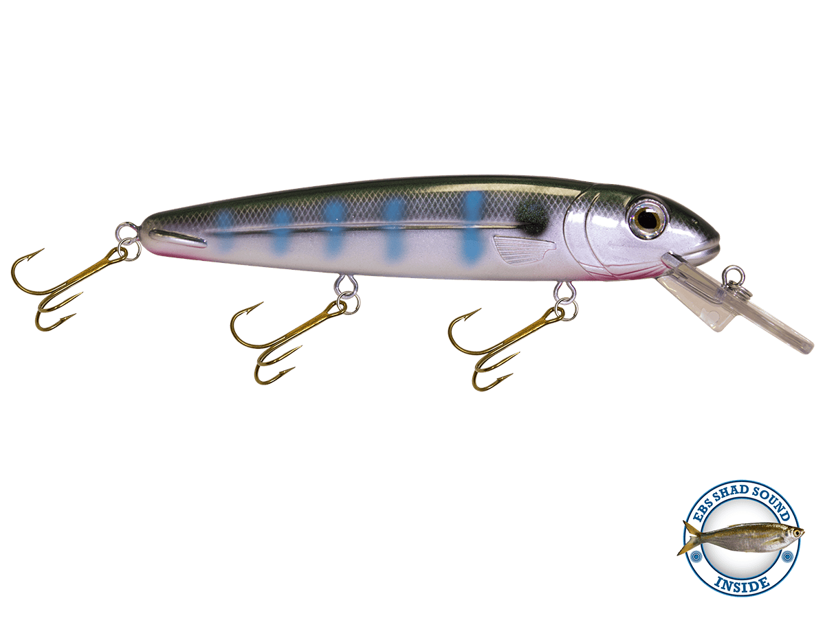Livingston Lures Crankbaits Shimmering Shad / Shad Sound Rachel (Suspending) 8"