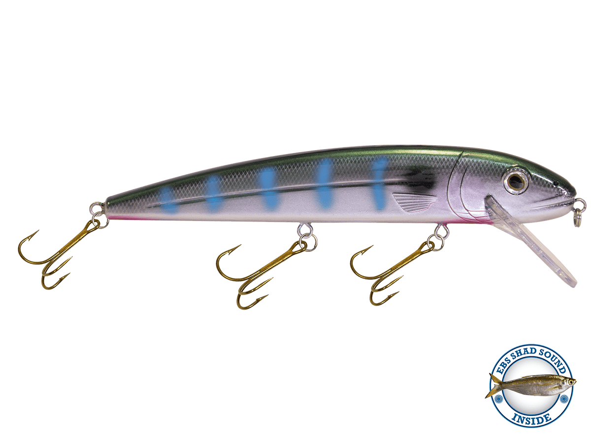 Livingston Lures Crankbaits Shimmering Shad / Shad Sound Squeaky Pete