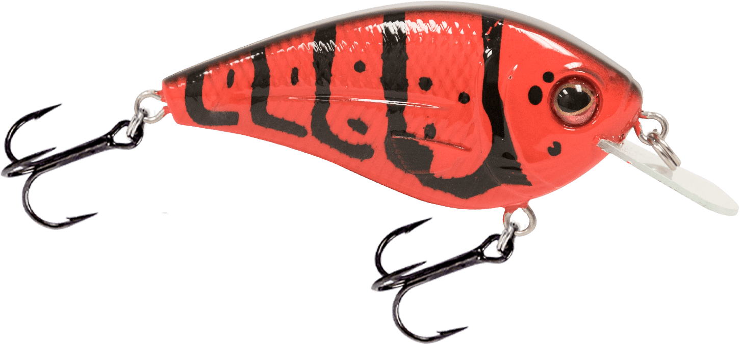 Livingston Lures Crankbaits Spring Craw FlatMaster SQ