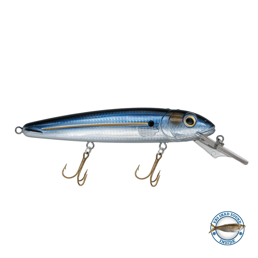 Livingston Lures Crankbaits Threadfin Shad / Shad Sound Rachel (Suspending) 8"