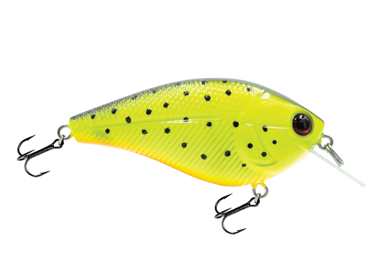Livingston Lures Crankbaits Tiger Spots Primetyme SQ 2.0