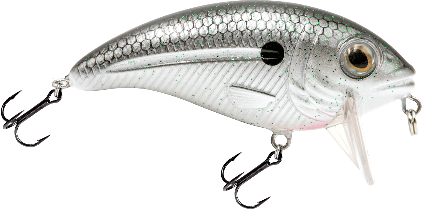 Livingston Lures Crankbaits XXX Shad Bull Nose