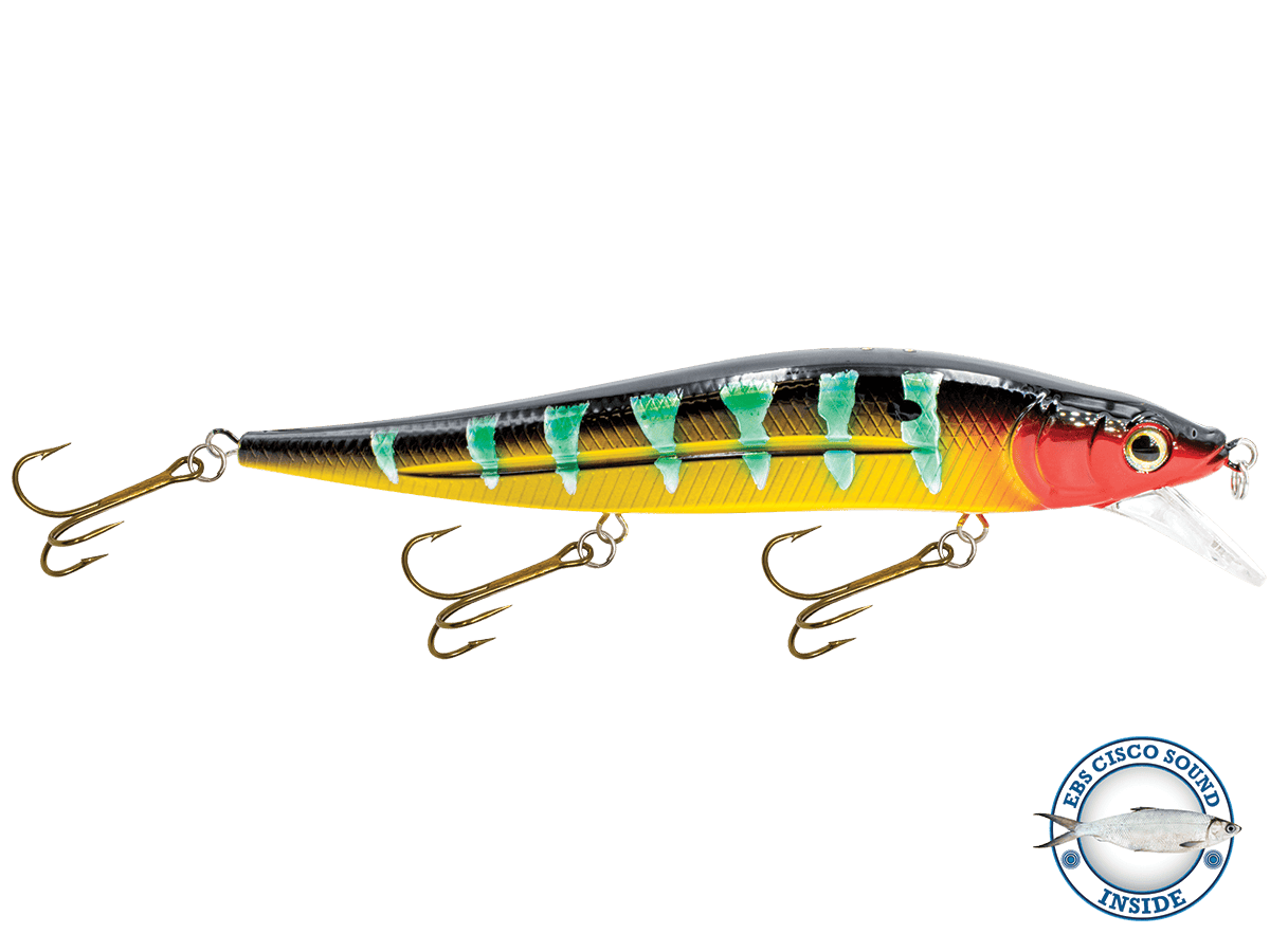 Livingston Lures Jerkbaits Chaos / Cisco Sound Jerkmaster 10"