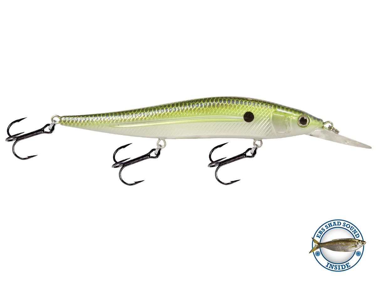 Livingston Lures Jerkbaits Chrome XXX Shad JerkMaster 121D