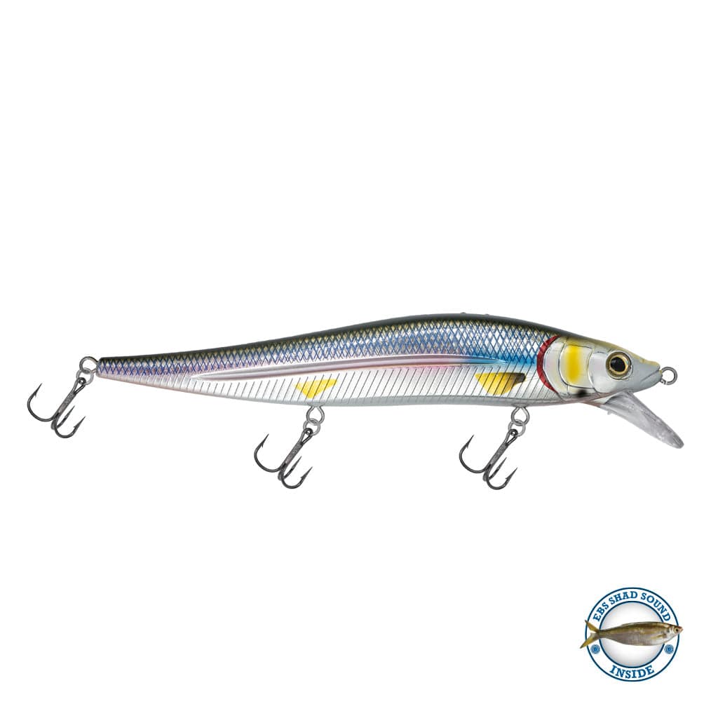 Livingston Lures Jerkbaits Rainbow Smelt/ Shad Sound Jerkmaster 10"