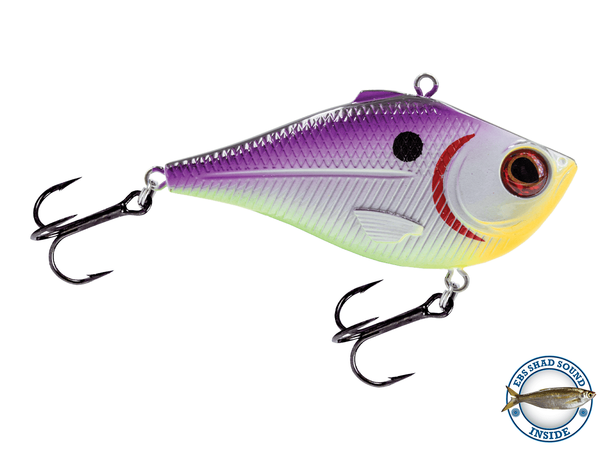 Livingston Lures Lipless Crankbait Purple Eye / Shad Sound Pro Ripper Magnum