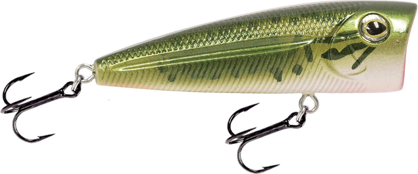 Livingston Lures Popper Baby Bass Walk N Pop 67