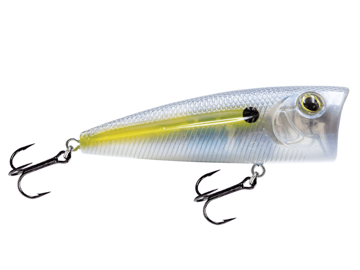 Livingston Lures Popper Beauty Shad WALK N POP 77