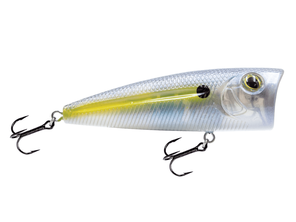 Livingston Lures Popper Beauty Shad WALK N POP 77