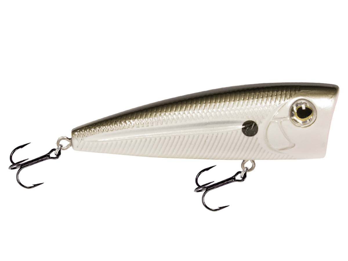 Livingston Lures Popper Black Pearl Shiner WALK N POP 77