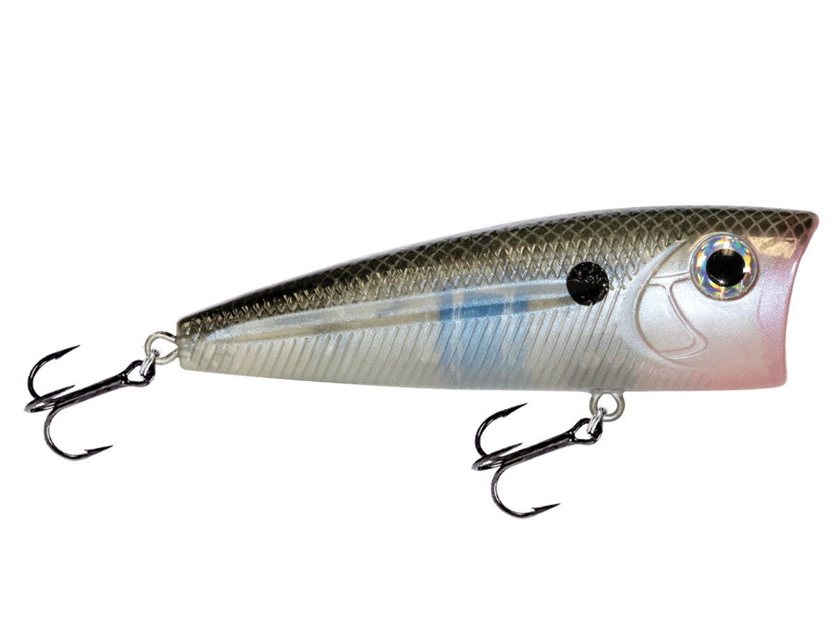 Livingston Lures Popper Black Silver Shiner WALK N POP 77