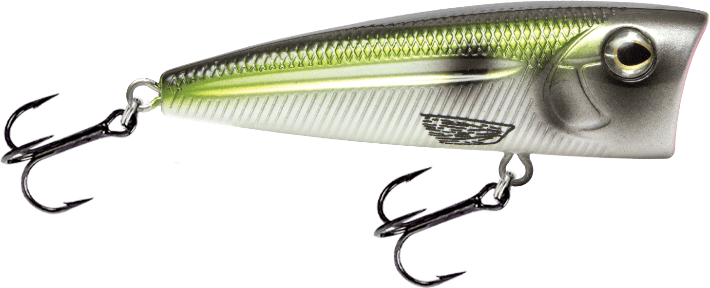 Livingston Lures Popper Blue Back Herring Walk N Pop 67