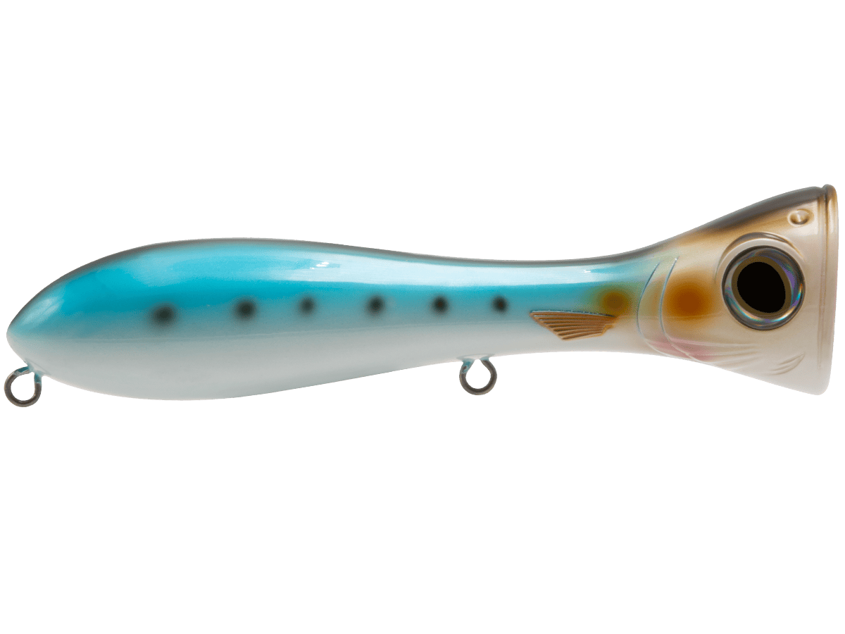 Livingston Lures Popper Blue Sardine Big Poppa 8"
