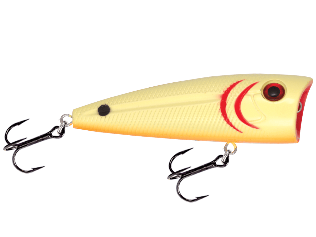 Livingston Lures Popper Bone Cracker WALK N POP 77